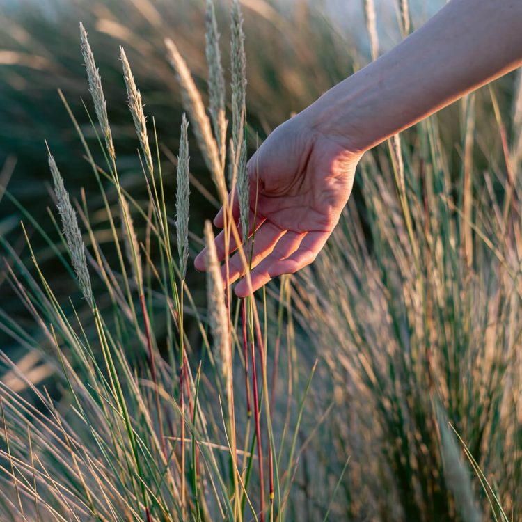 Contentpakket Manon Galama Photography - Duinen-04
