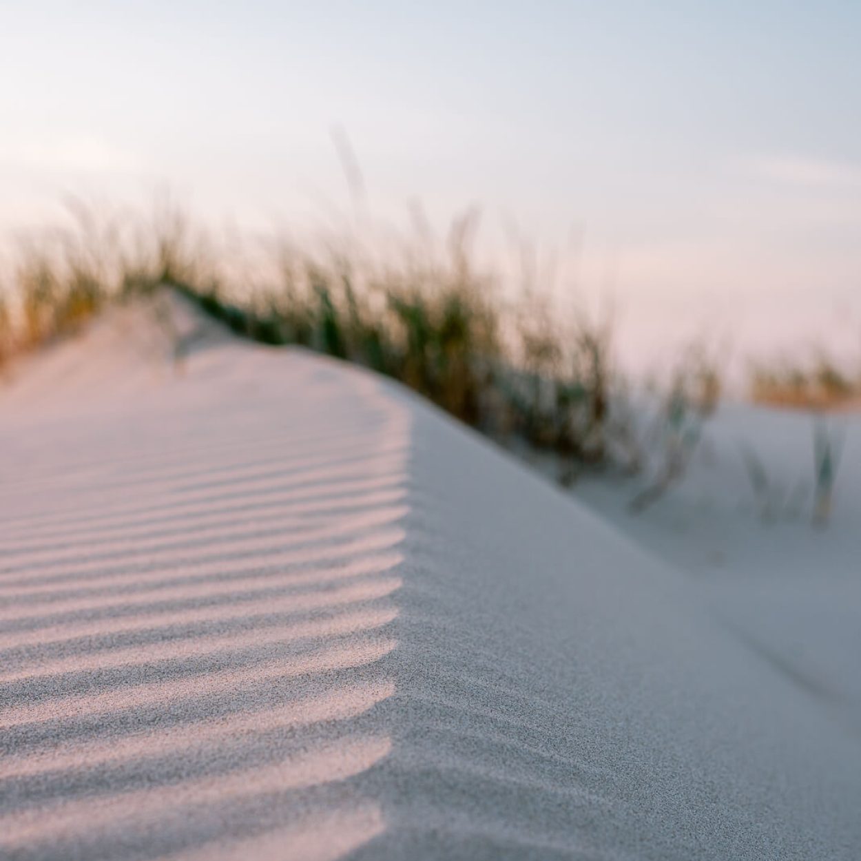 Contentpakket Manon Galama Photography - Duinen-06