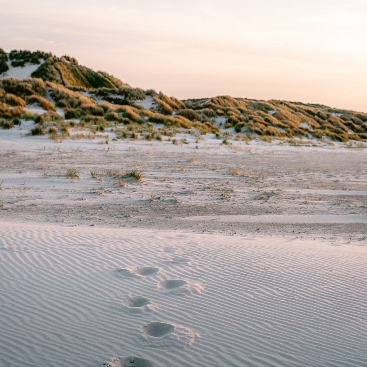 Contentpakket Manon Galama Photography - Duinen-08
